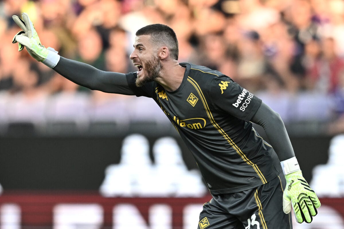 David De Gea, Fiorentina