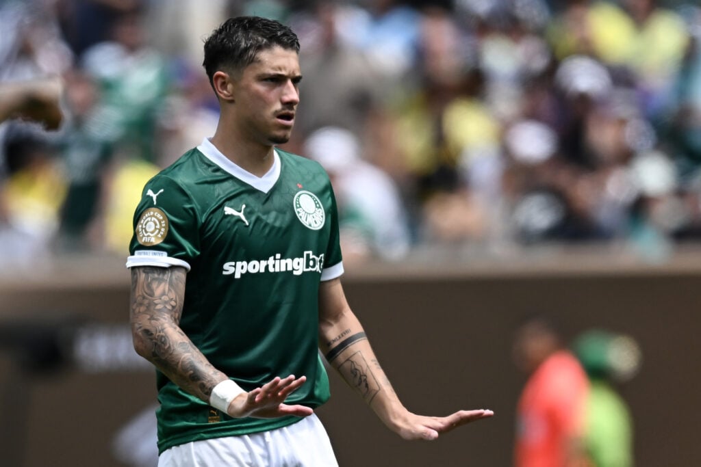 Emiliano Martinez, Palmeiras