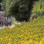 Pronostico Tarragona-Barcellona 2ª Tappa Tour de France | 5 Luglio 2026