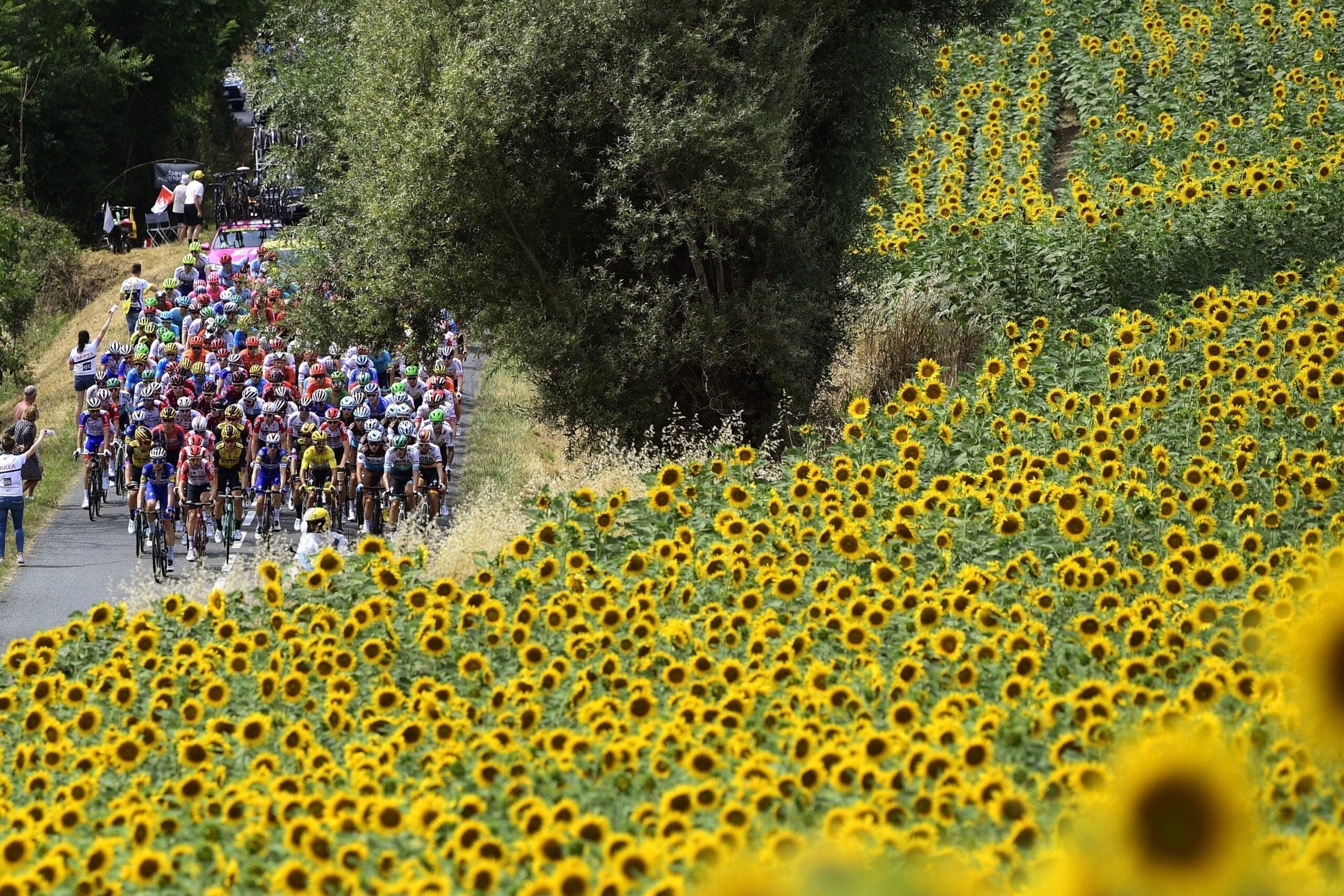 Pronostico Tarragona-Barcellona 2ª Tappa Tour de France | 5 Luglio 2026