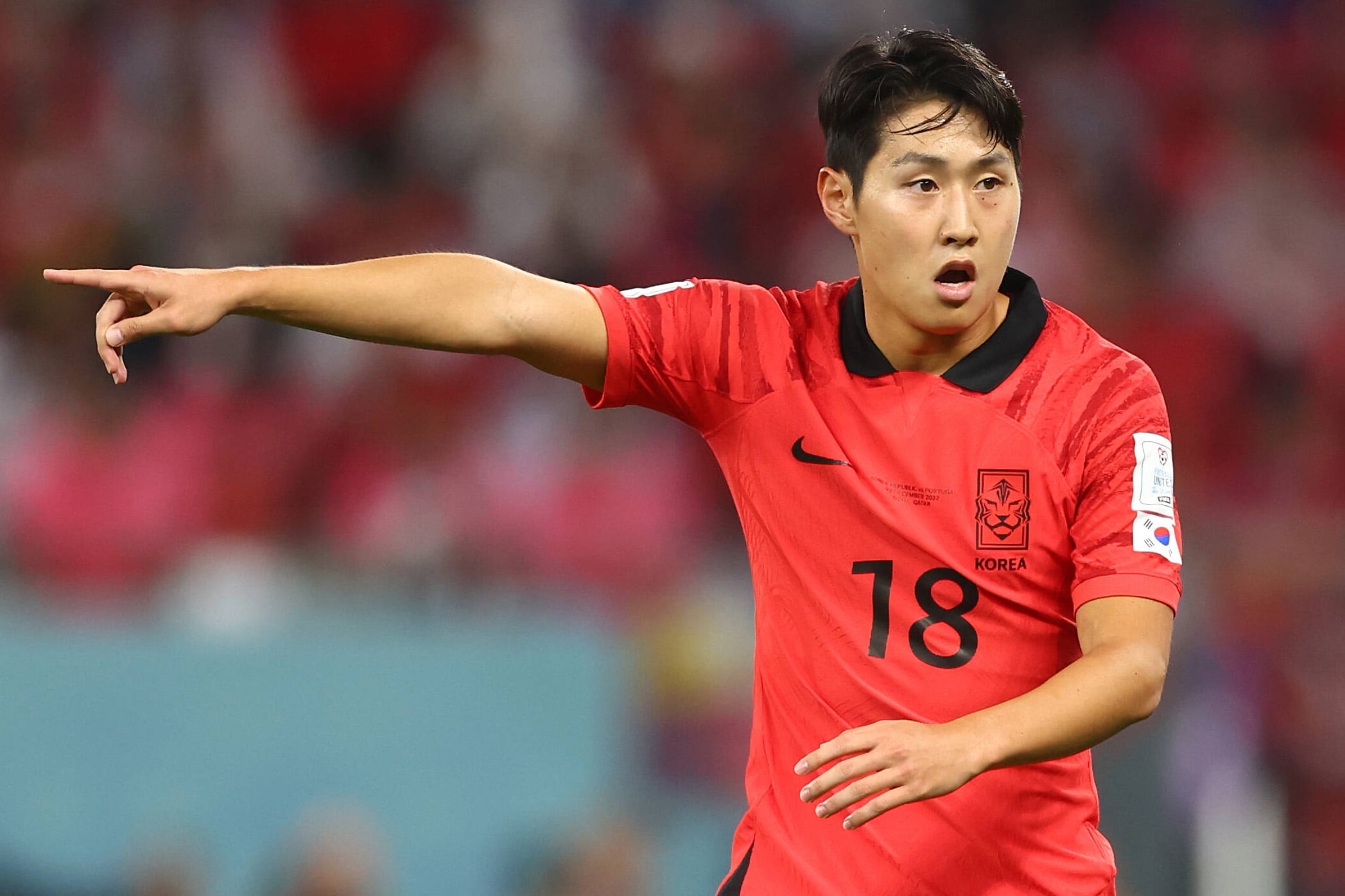 Lee Kangin, Corea del Sud