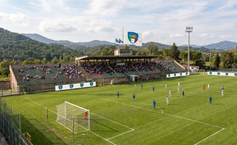 Palermo guida la classifica presenze in Serie D: 15.874 di media nel 2019-20
