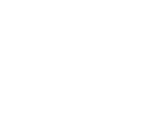 Bundesliga